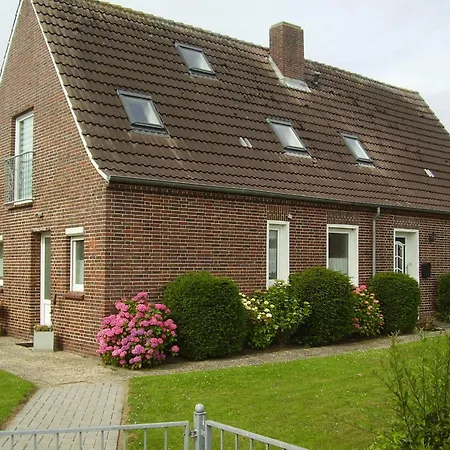 In 20-083 * ドルヌマージール